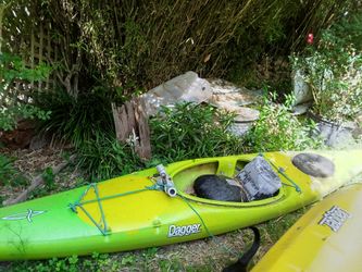 Kayak