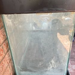 Fish Tank 