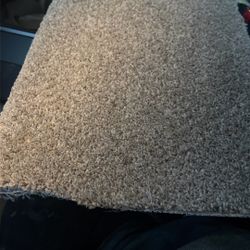 Carpet Installation 