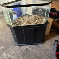 50 Gal Tank 