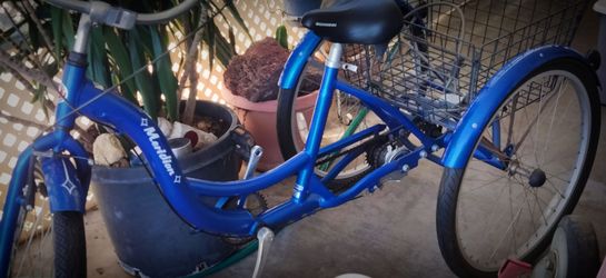 Schwinn meridian adult tricycle with basket