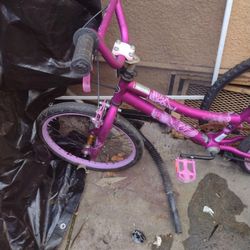 20 Inch Kent Girls Bike With All The Brakes And Aired Up With Pegs