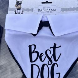 Best Dog” Bandana with Bow Tie – Medium (NEW) 🐶