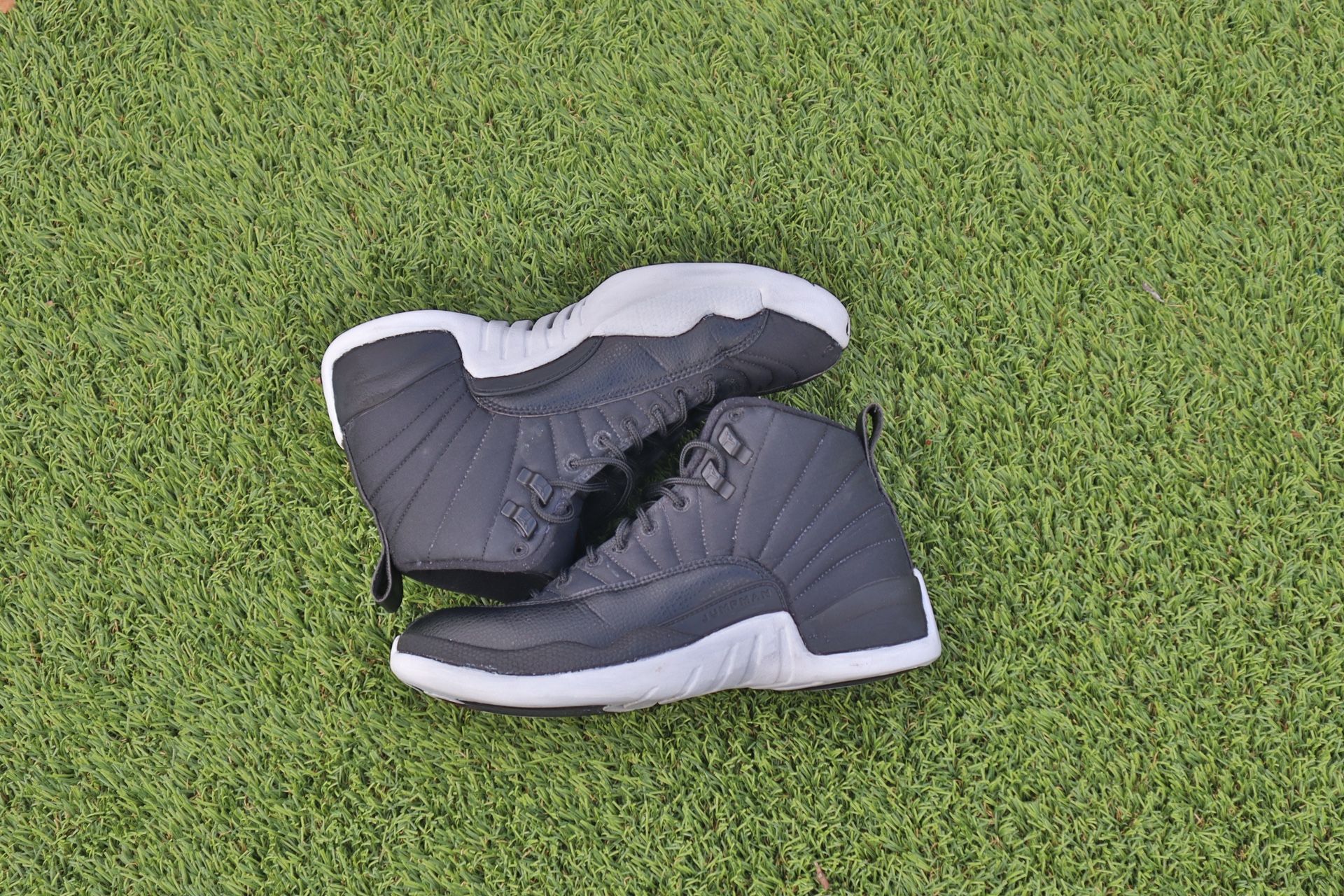 Jordan 12 Neoprene 