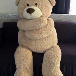 Big Teddy Bear