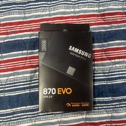 SAMSUNG SSD 870 EVO *250 GB*