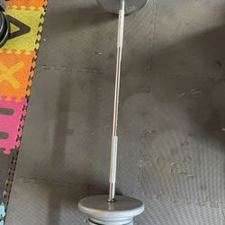 Weight Plates / Bar.     100 Dollars 