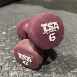 6 Lb Hand Weights