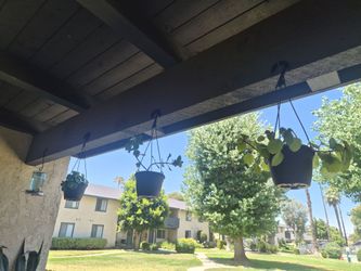 Priced plants