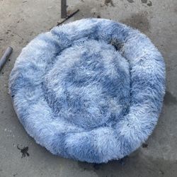 Large Dog Bed