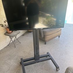 Rolling TV Stand 