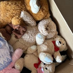 Teddy Bears 
