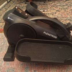 Flexstride Lifepro Pedal Exerciser 