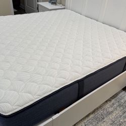 Mattress/brand new mattress/ same day delivery/ no credit needed / colchones
