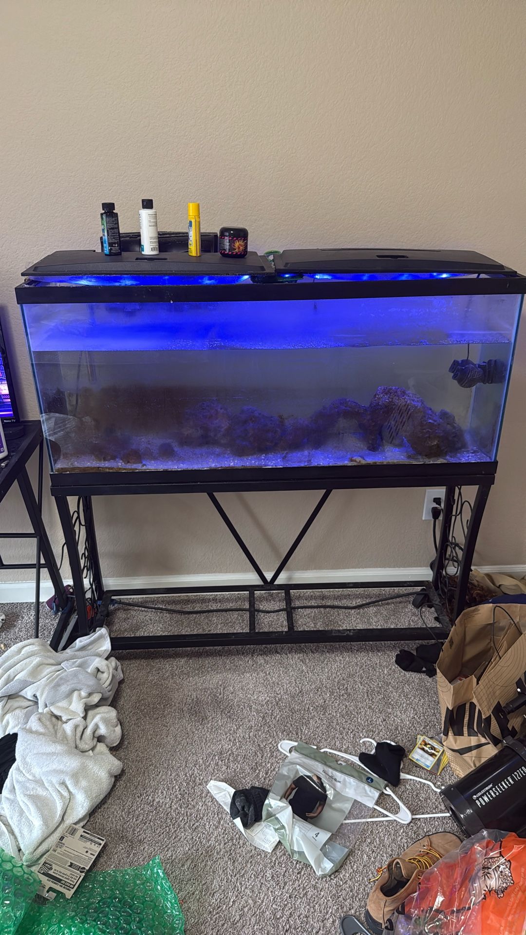 Aquarium For Sale ( NOT FIRM ON PRICE) taking Offers