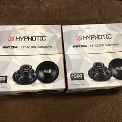 12 inch speakers brand new