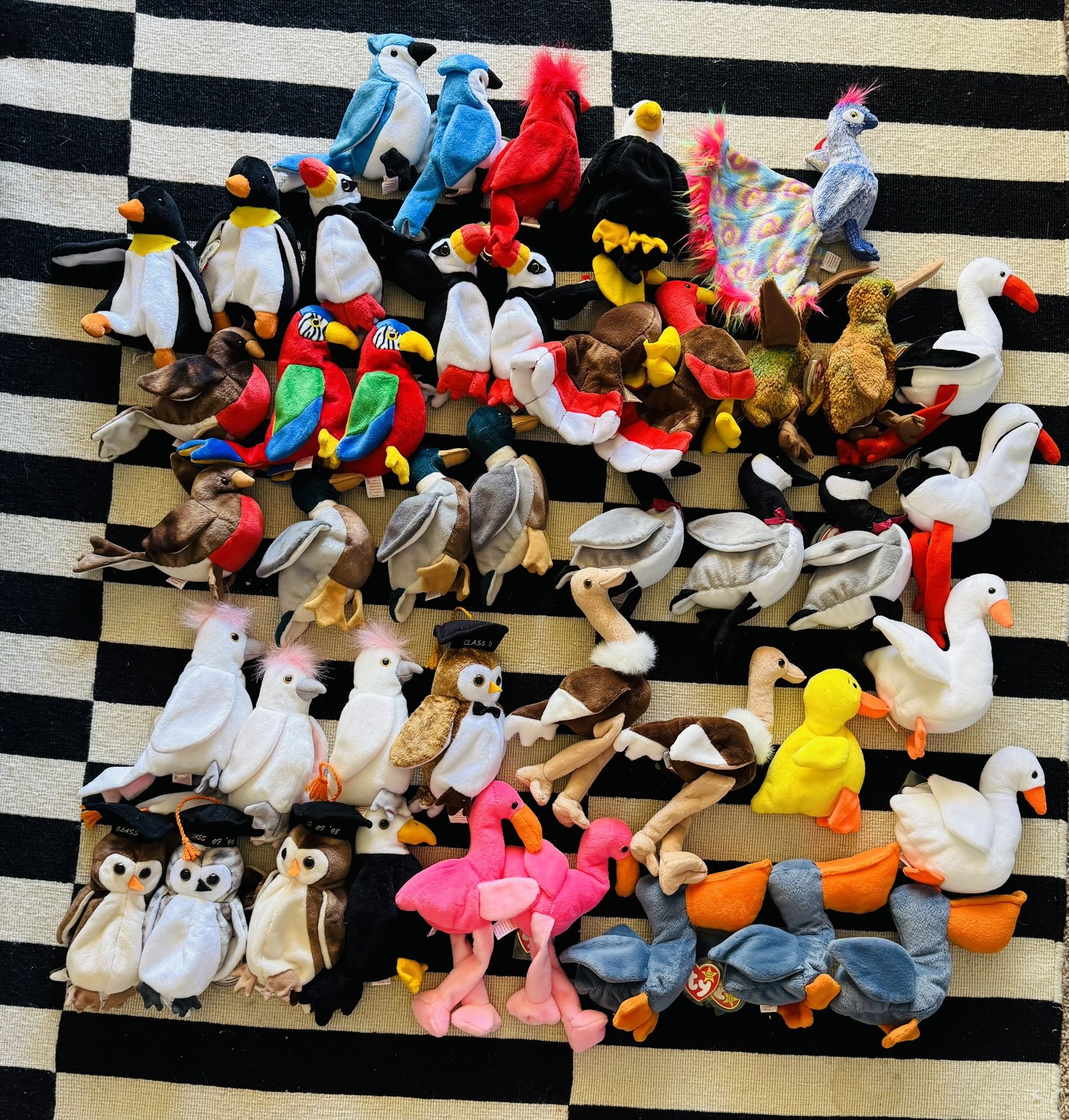 Beanie Baby Bird Collection