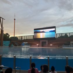 Seaworld Tickets ! 