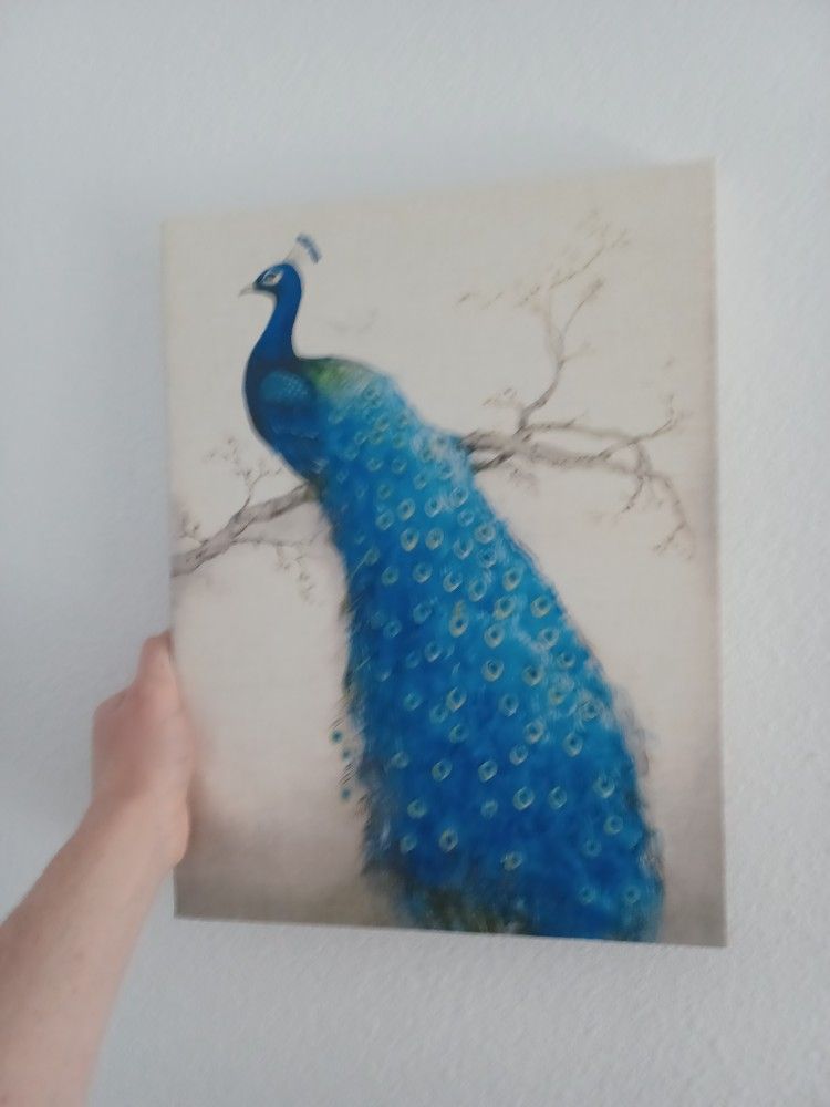 Painting 20 Bucks Obo