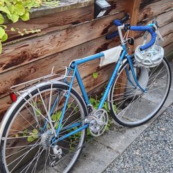 Univega Small-Medium Bike