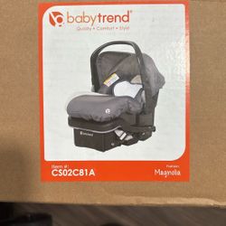 Double stroller and Car seat 