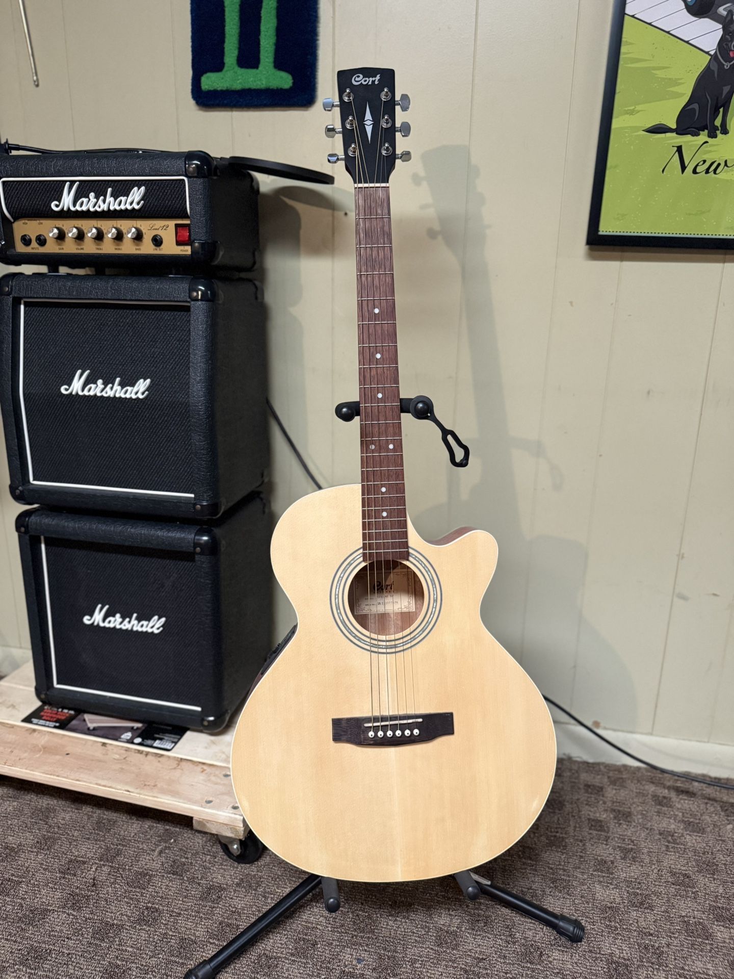 Cort Acoustic Guitar