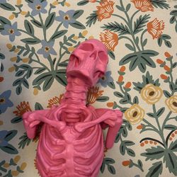 Hot pink skeleton decor