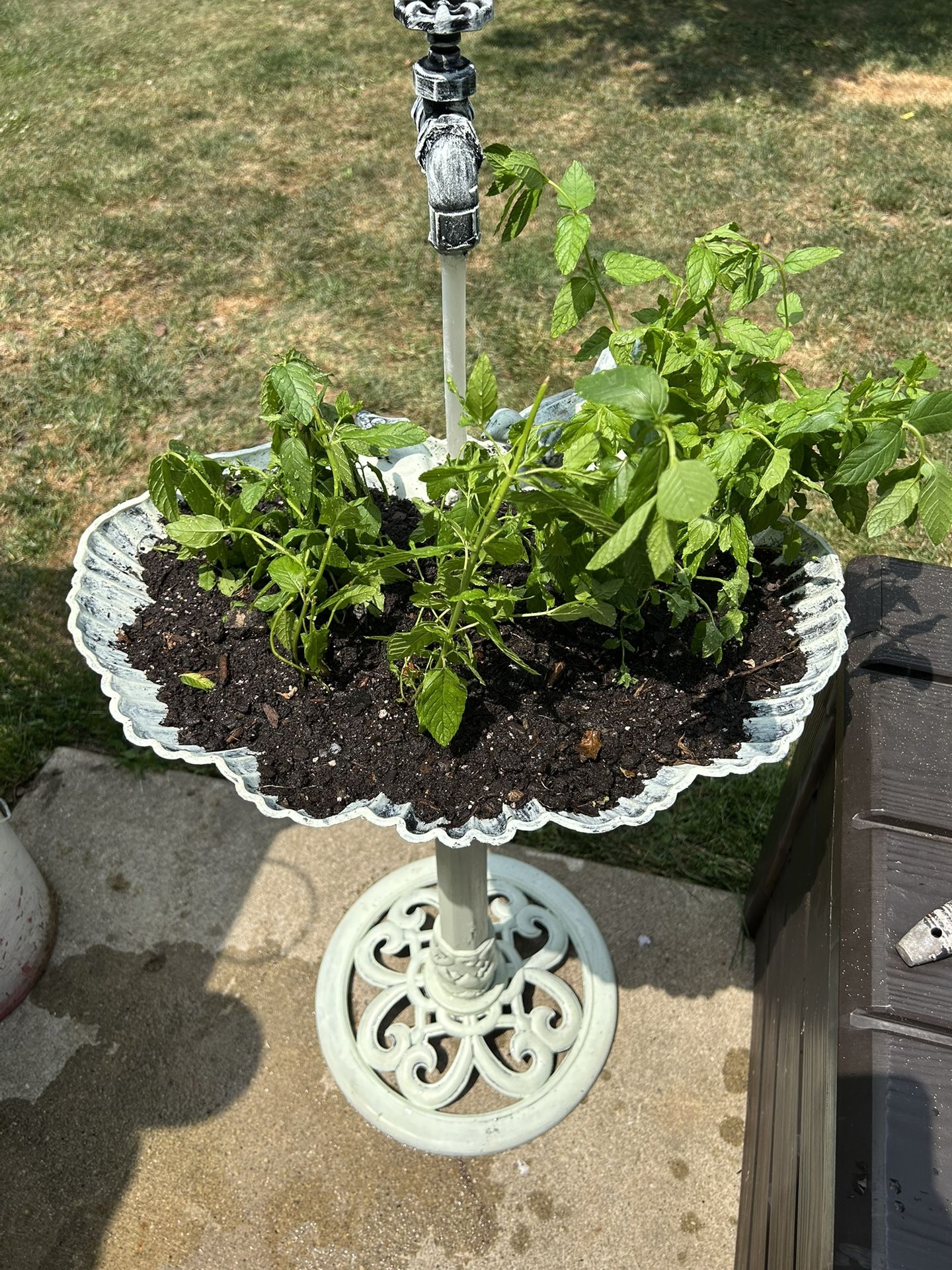Hand Made bird bath repurposed as a planter