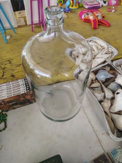 2        5 gallon glass jugs
