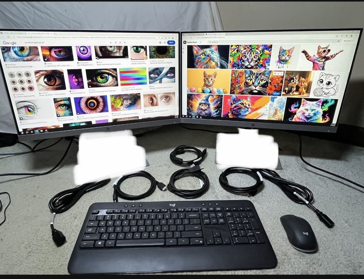 Two HP 22” Monitors + Wireless Keyboard + Mouse