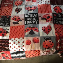 Lady Bug Blanket (4x5)
