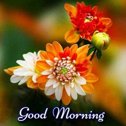 Have Any Donations I Could Pick Up! All Areas Around Me 🙂