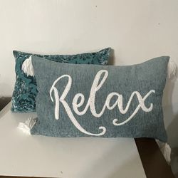 Two Beautiful Pillows Like New