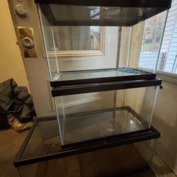 snake tank 20 gal 10 gallons