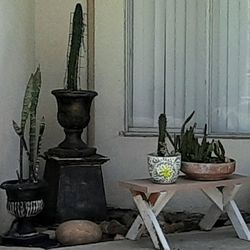 Planting pots for sale