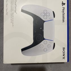 ps5 controller New 