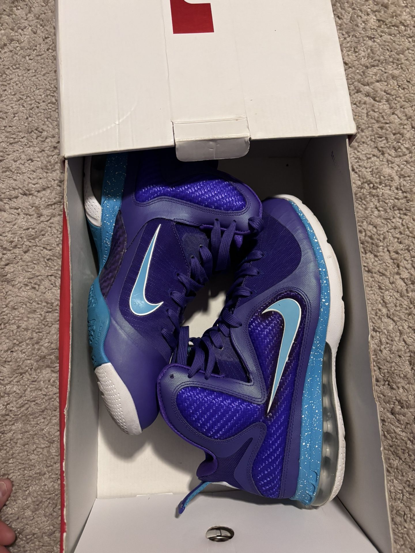 Nike LeBron 9 Summit Hornets Size 10 Men’s 