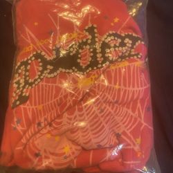 Spider hoodie 