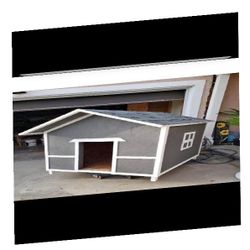 use property Make the Ultimate Dog Home - Style and Comfort Merged
