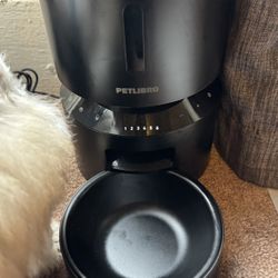 Automatic Cat Feeder, Automatic Dog Food Dispenser