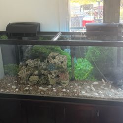 55 Gallon Fish Tank With Wooden Cabinet