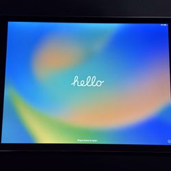 iPad Pro 12.9 Inch  With Pen And Leather Case