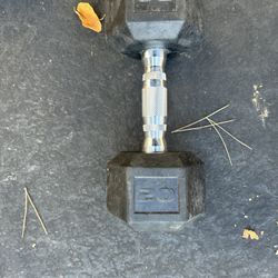 20 Pound Dumbbell