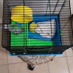 Bird Cage 