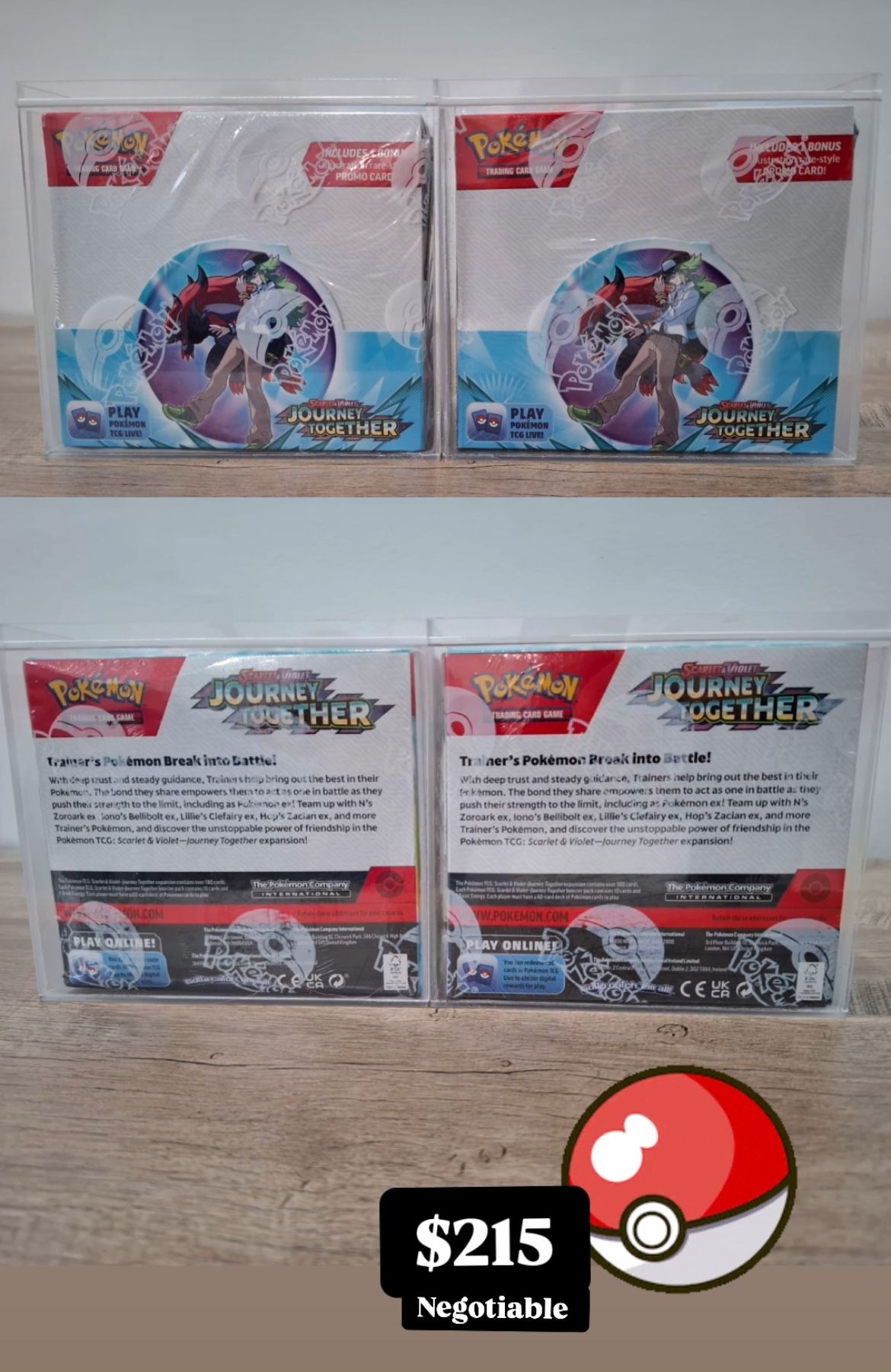 Pokémon Journey Together 