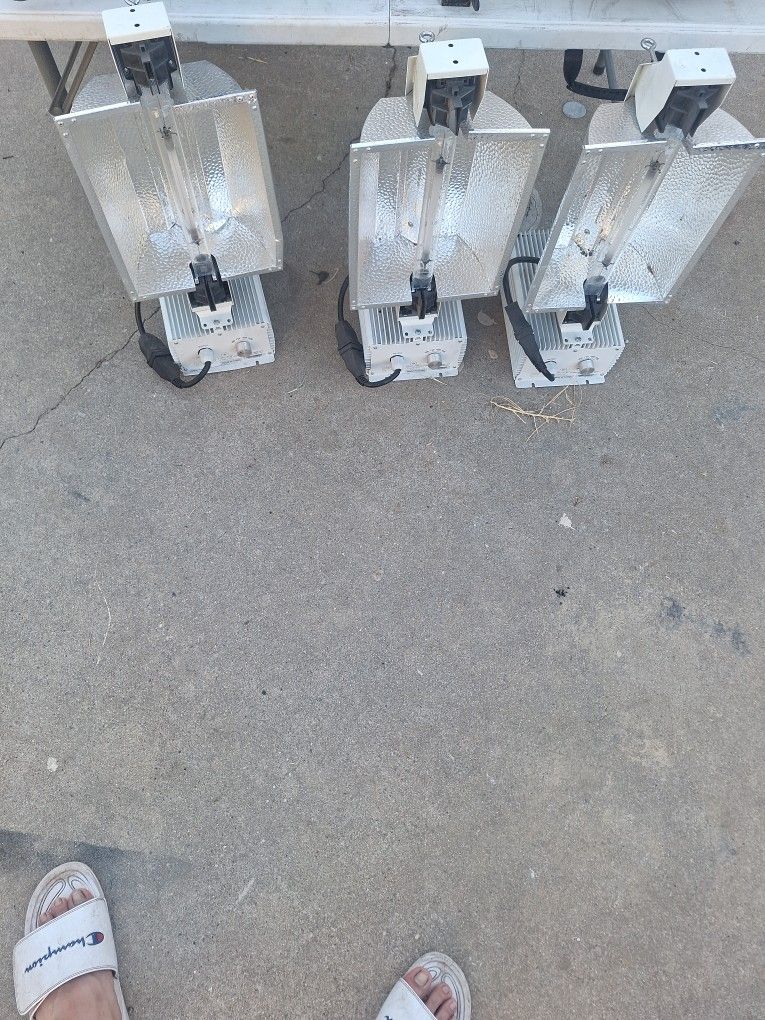 Graw Lights