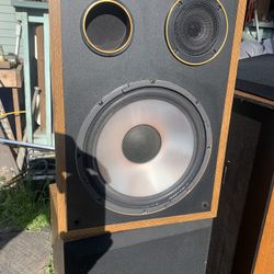 Acoustic Monitor Speakers