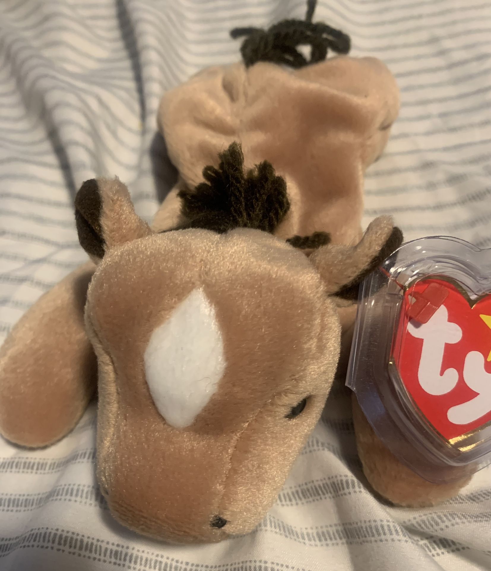 Derby With the Fine Mane, RAREST TY Beanie Baby 1995