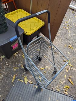 Push Cart (For Groceries Or Other Items To Carry)