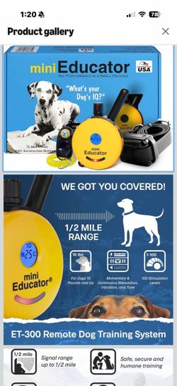 E-Collar Mini Educator ET-300 Remote Dog Training System